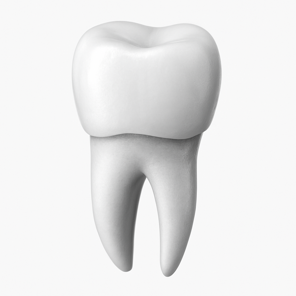 zirkonyum kaplama hizmetler